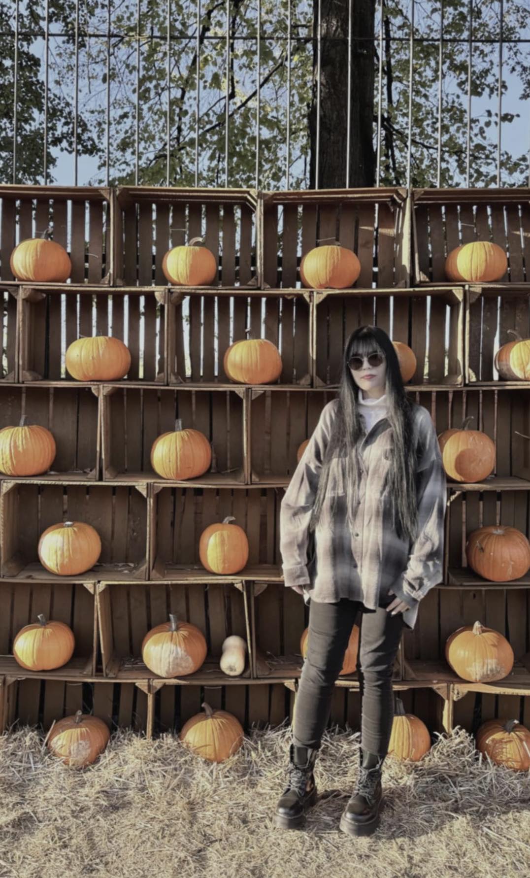 495179337 685546864446140 2477589874331460832 n