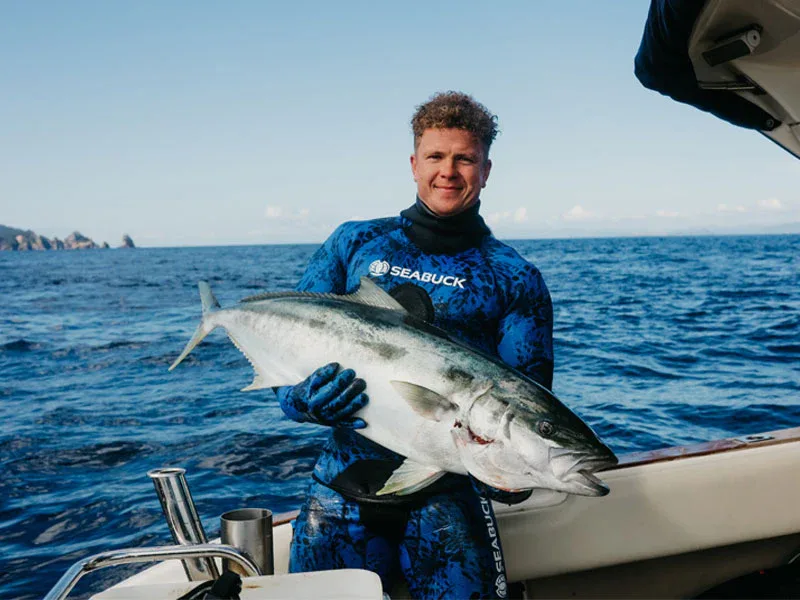 Spearfishing for Kingfish and a Great White encounter in the Coromandel