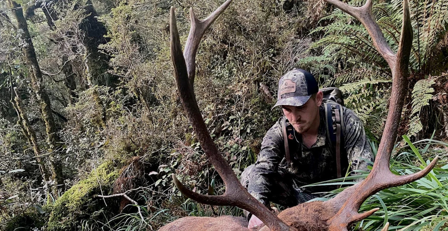 Roar Stories: My First 12-Pointer in the Fiordland Roar