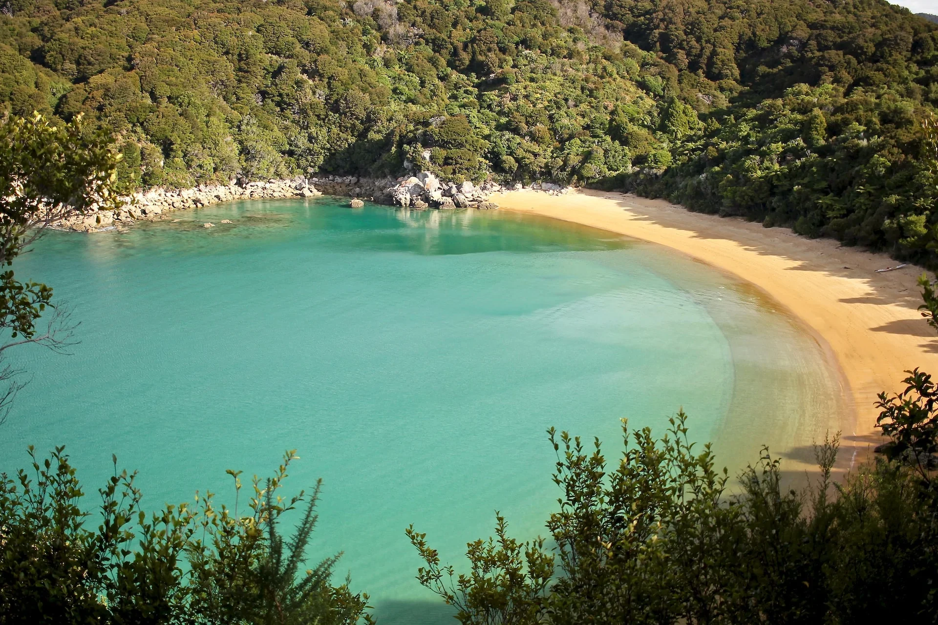 The 5 Best Hikes in Nelson-Tasman + 14 Bonus Walks
