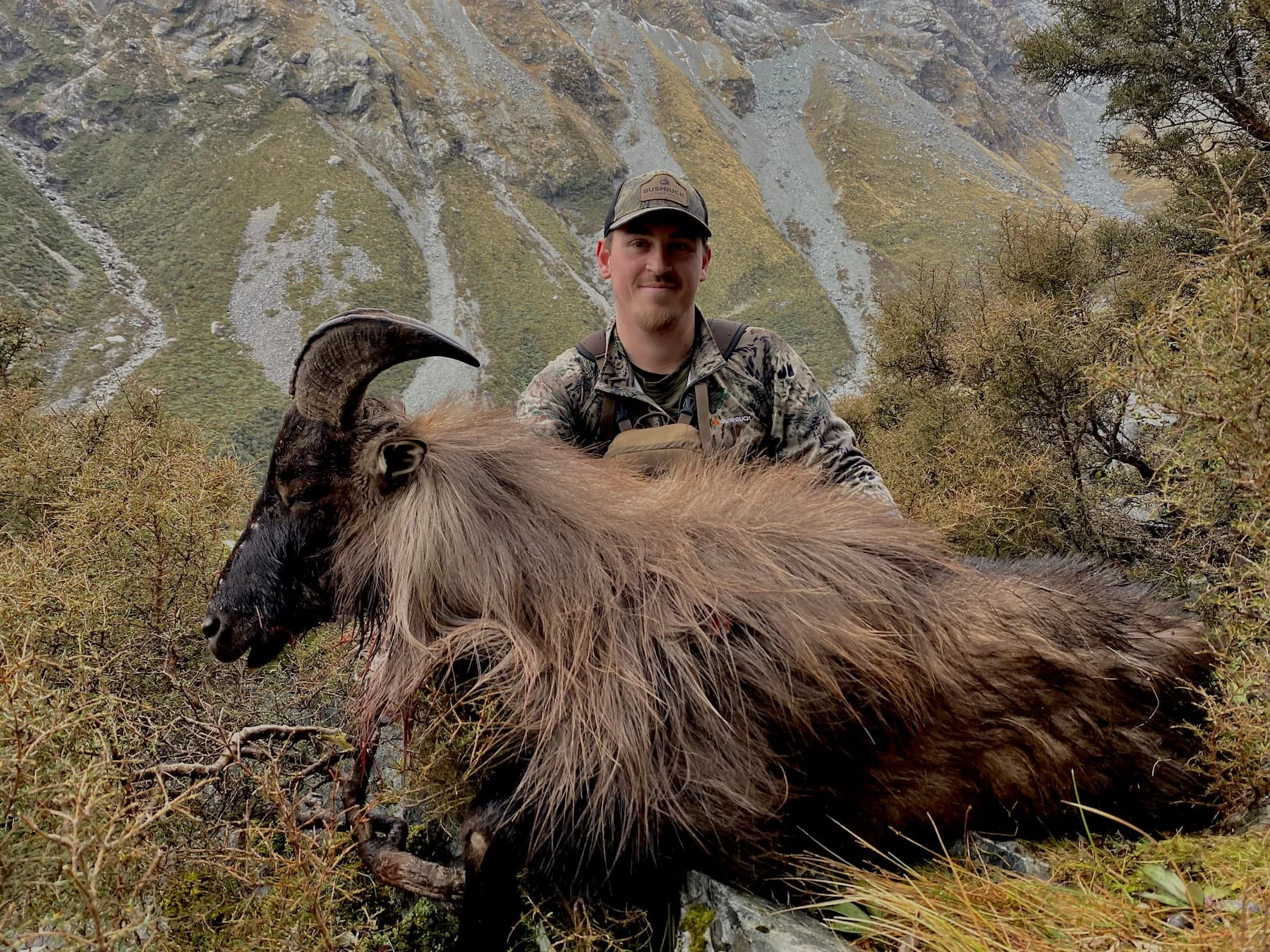 New Zealand Hunting Seasons By Species
