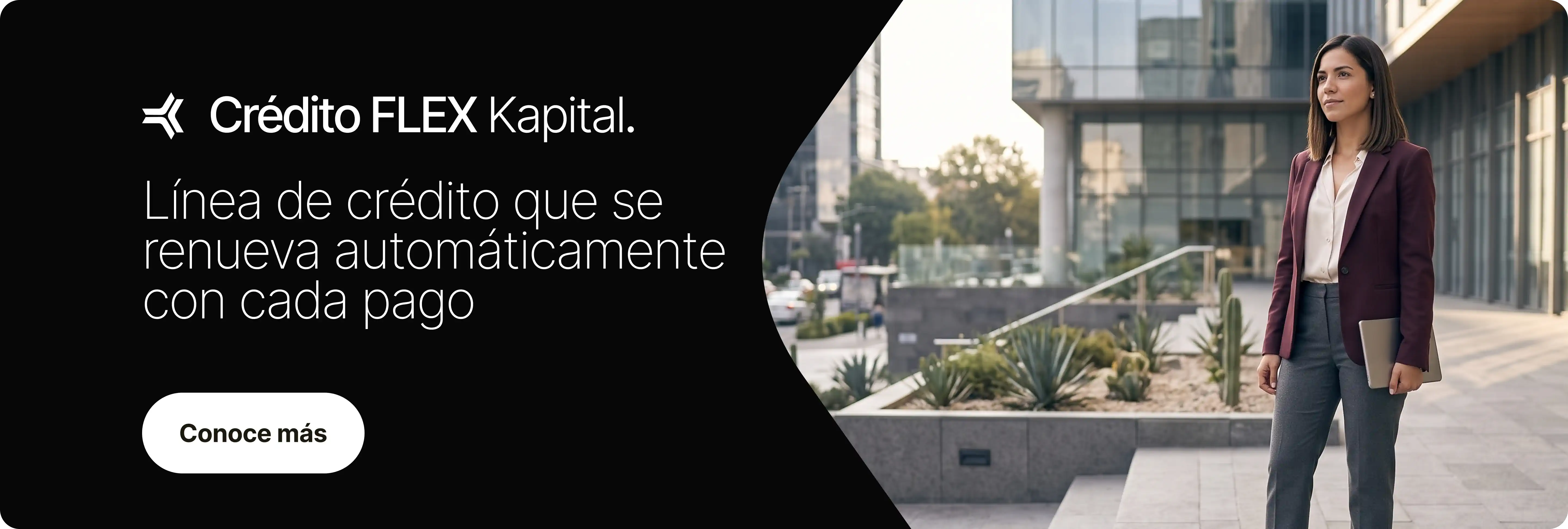 Banner Crédito flex