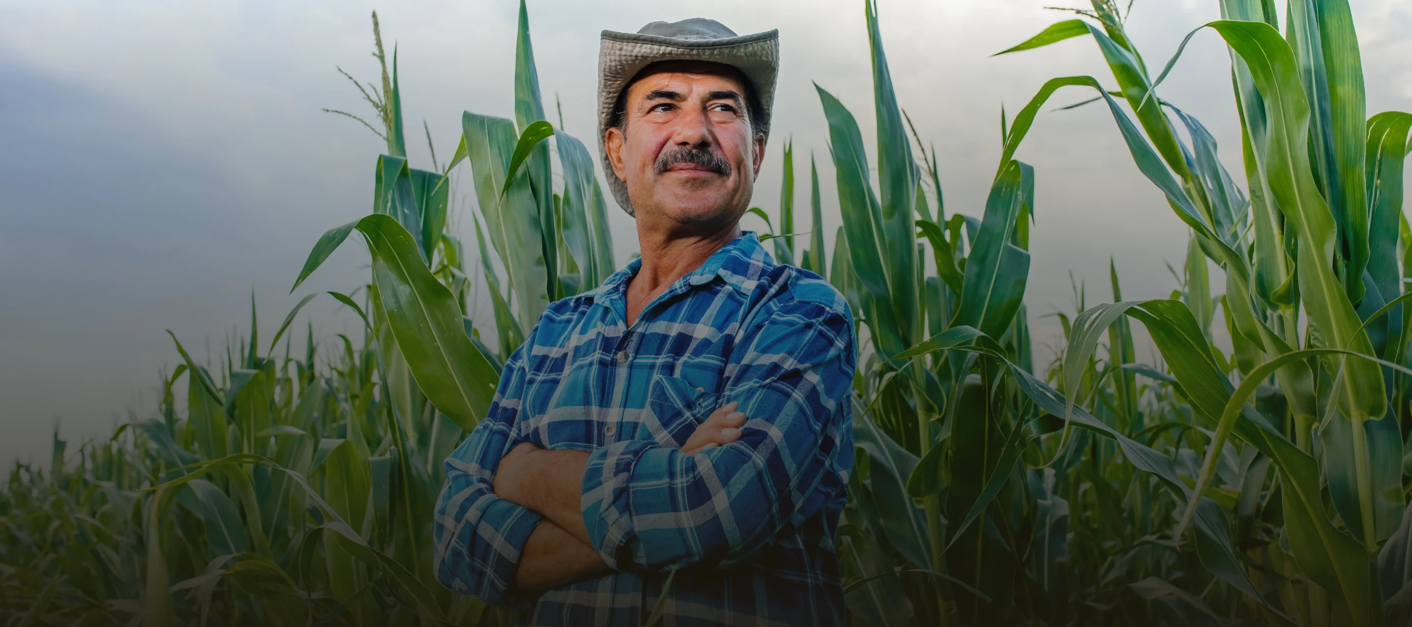 credito-agro-kapital