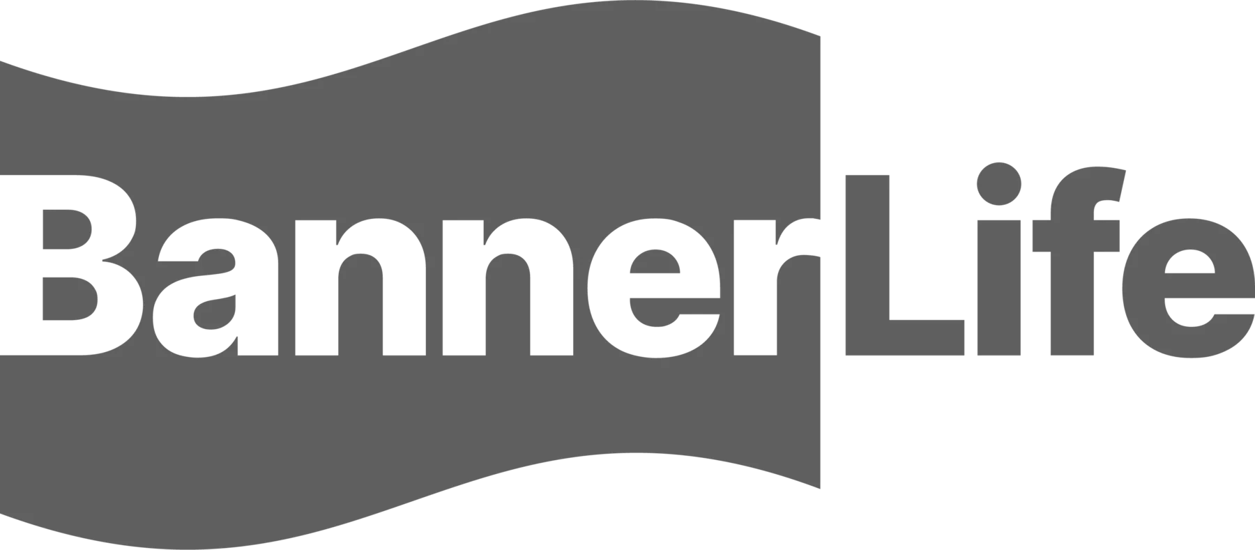 banner-life