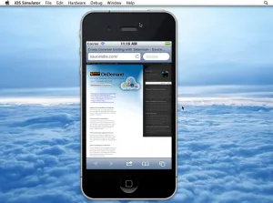 screen-shot-2012-08-13-at-11.16.17-am-300x223