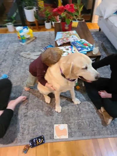 Titus Fortner's dog for National Dog Day 