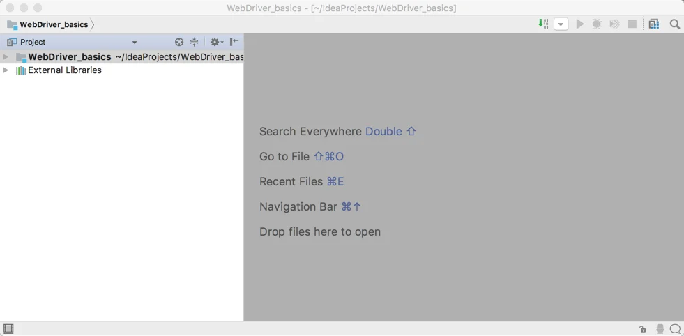 intellij-06-project-home