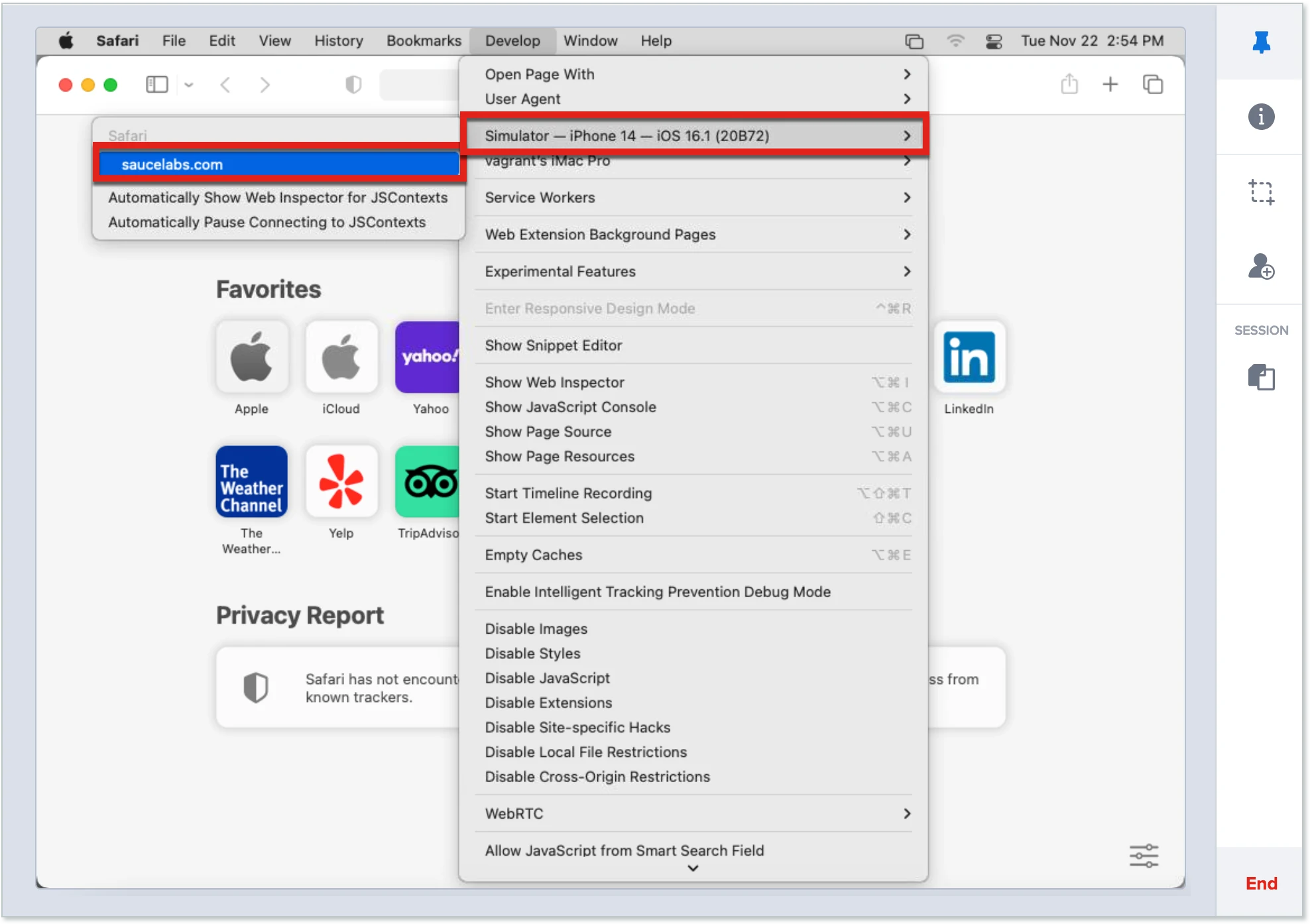 inspect element iphone 6