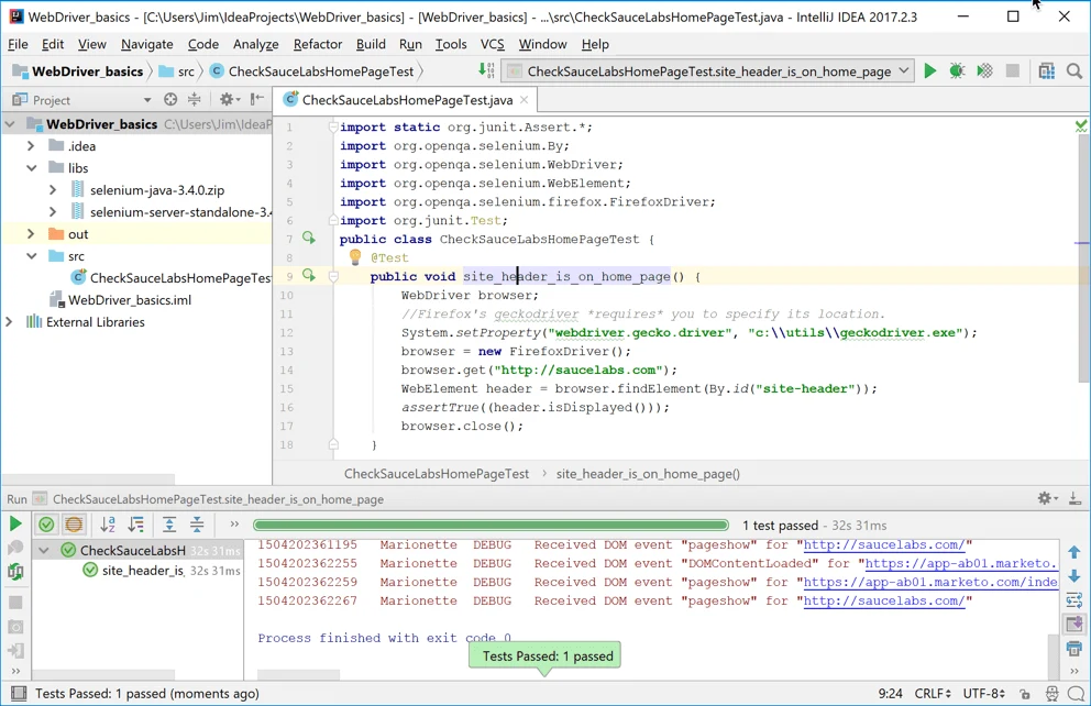 14-windows-intellij-green