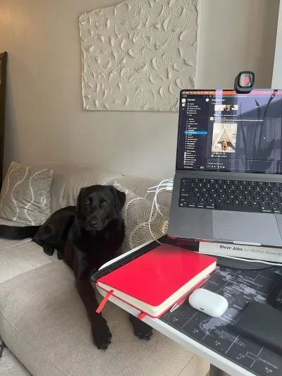 Melek Ramki's dog Stussy for National Dog Day 