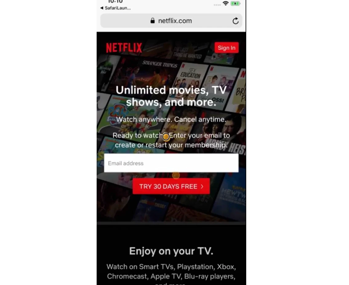 Nexflix blog example1