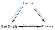 Correlation Causation MMS8thScience