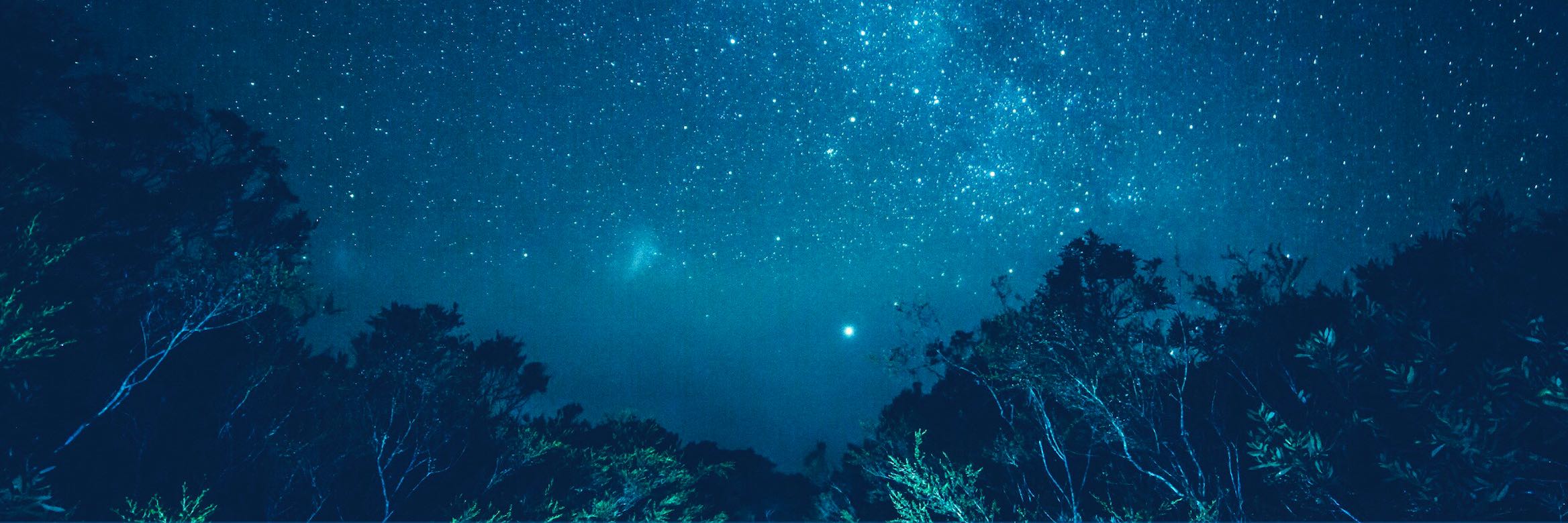 Every Product Needs a North Star Metric Here’s How to Find Yours