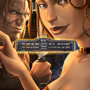 background image representing Dead or Alive 2
