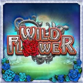 Thumbnail image of Wild Flower