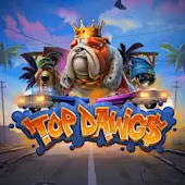Thumbnail image of Top Dawgs