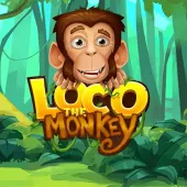 Thumbnail image of Loco The Monkey
