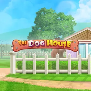 background image representing The Dog House