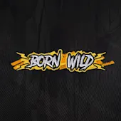 Thumbnail image of Born Wild