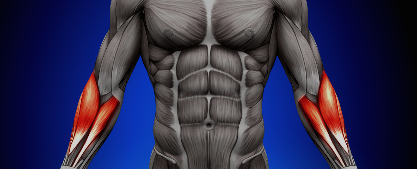 Magnesium Sulfate Reduces the Rocuronium Dose Needed on Patients with Myasthenia Gravis