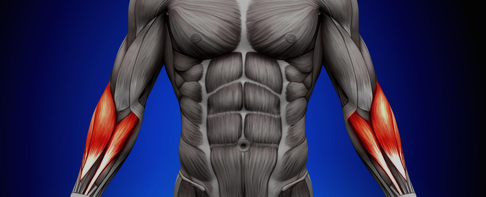 Magnesium Sulfate Reduces the Rocuronium Dose Needed on Patients with Myasthenia Gravis