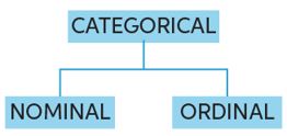 Learn About Relationships Between Categorical Variables Chegg Com