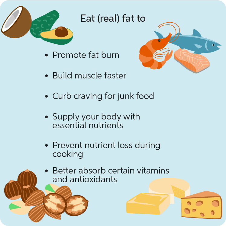 Learn About Animal Fats 