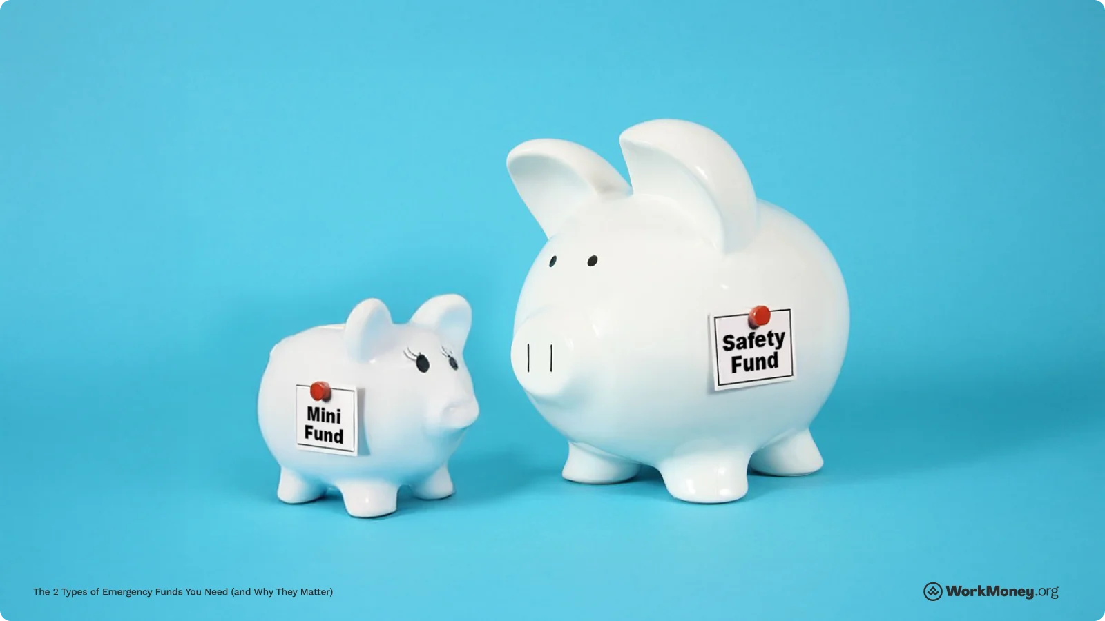 Small piggy bank versus big piggy bank