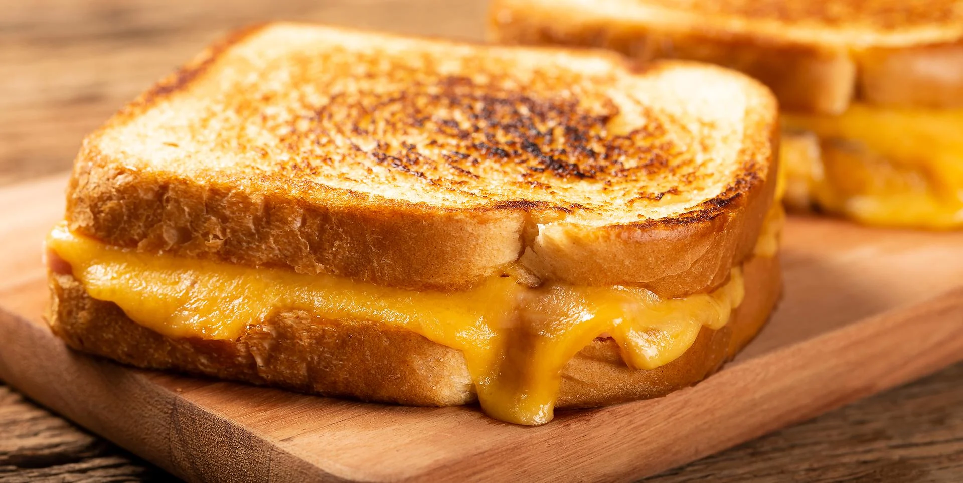 A grilled cheese sandwich sits on a plate.