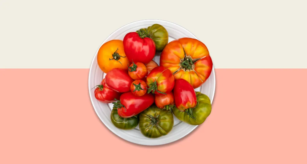 The Fridge Tomato Edition Hero