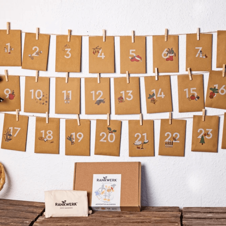 Rankwerk-Adventskalender-Wand-900x900 150x@2x