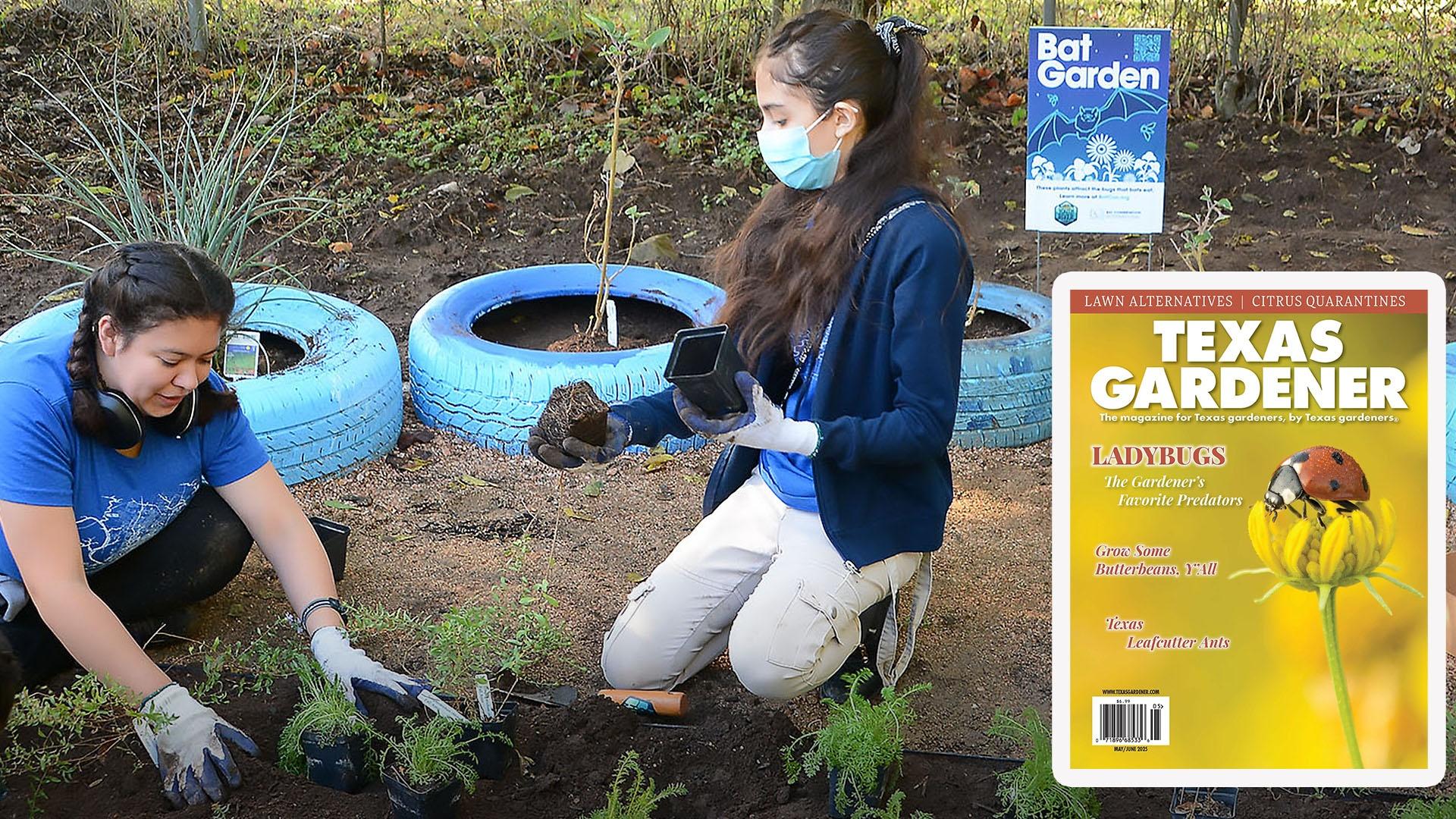 Students planting in a school garden