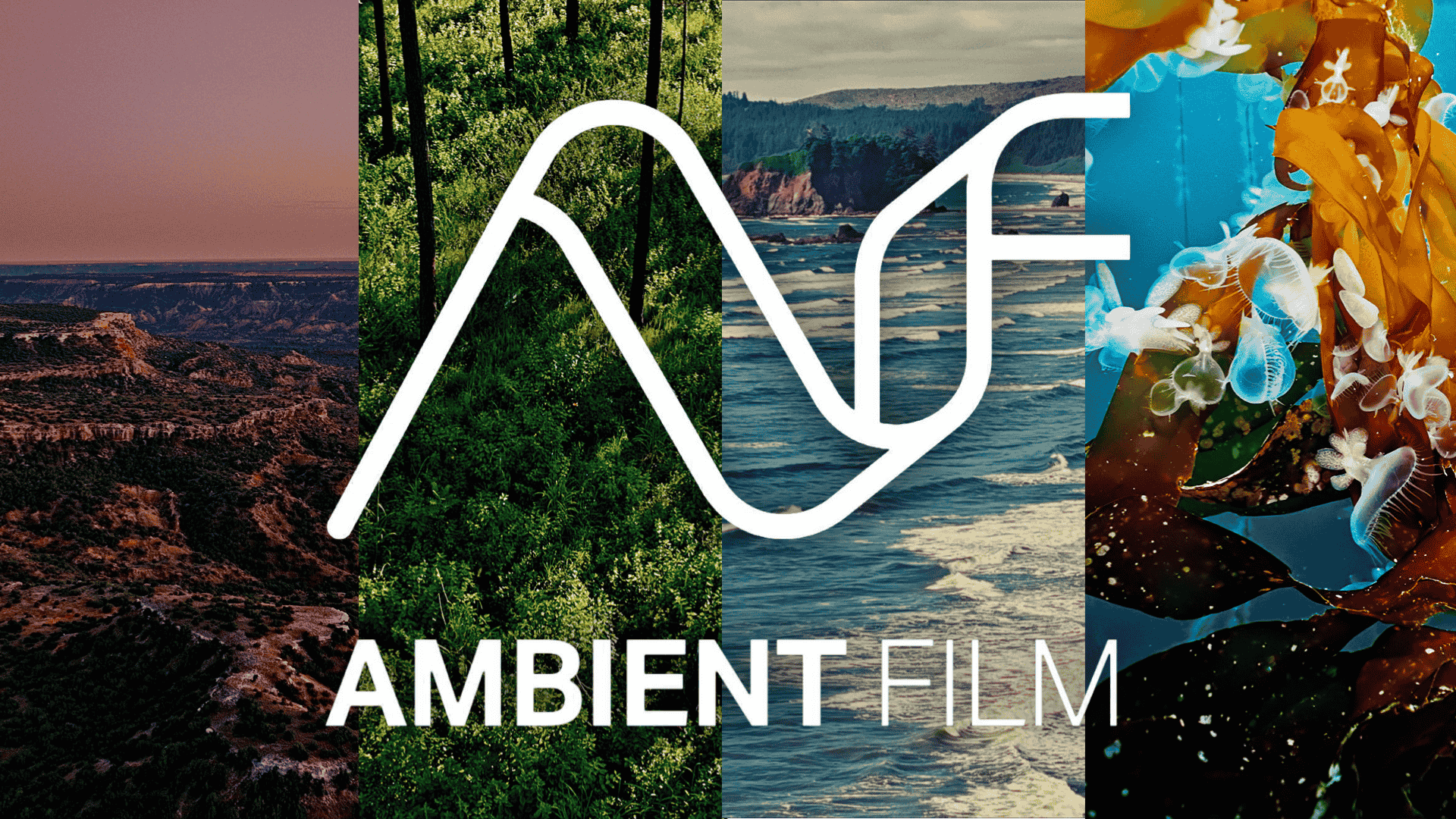 Ambient Film presented by Austin PBS