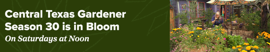 Central Texas Gardener Season 30 is in Bloom on Saturdays at Noon