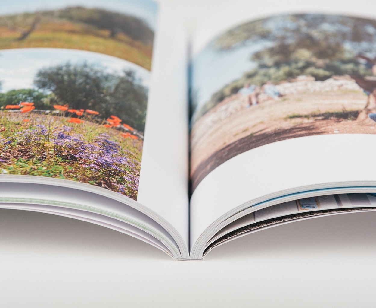 Softcover Photo Books Journi