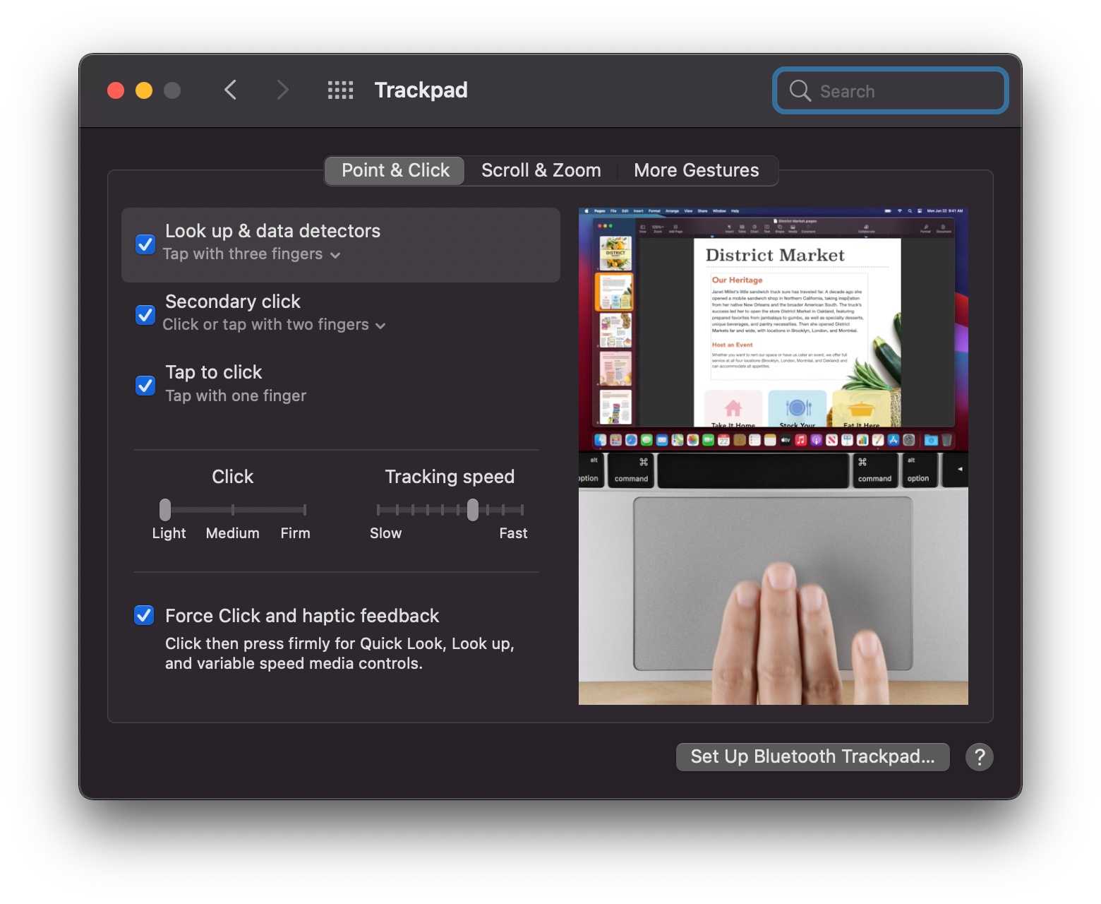 Trackpad Settings in System Preferences