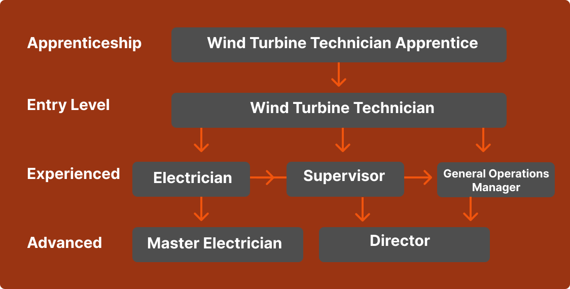 A career guide to wind turbine technicians. From apprentice to director.