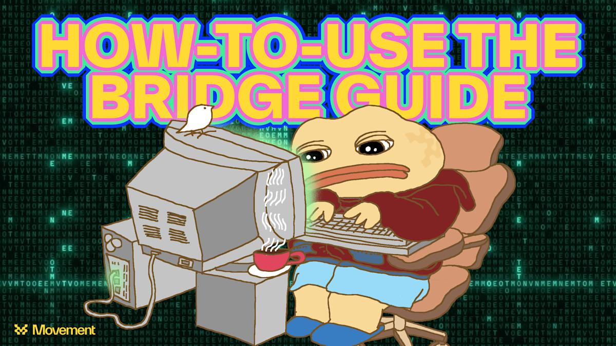 How to Use the Movement Bridge