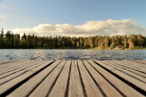 Holzterrasse: Welche Holzart nutzt man idealerweise für die Terrasse?