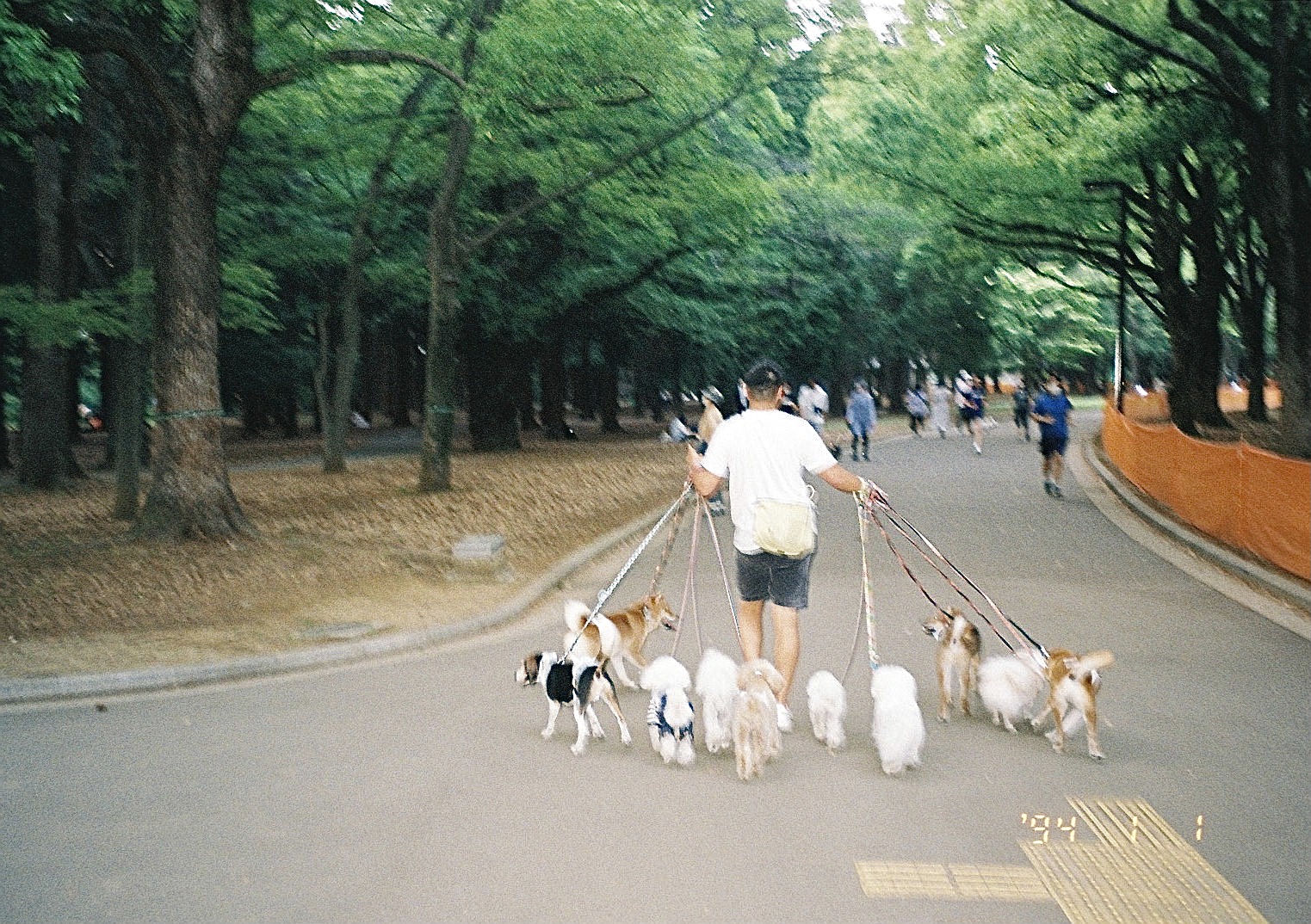 渋谷 代々木公園 一人散歩 東京オジサウナ