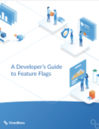 developer guide to feature flag whitepaper