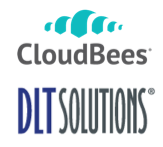 DLT Solutions