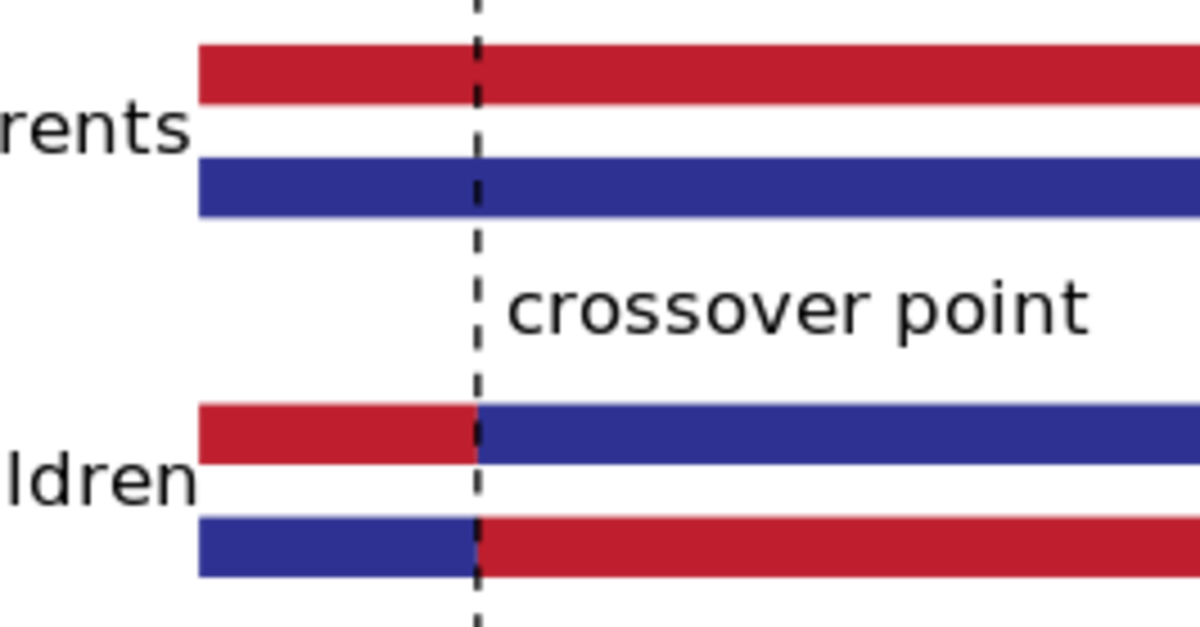 Using Genetic Algorithms in Ruby - via @codeship | via @codeship