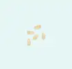 Orange seed icon