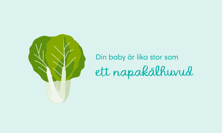 Gravid I Vecka 32 Vad Du Kan Forvanta Dig Pampers Se