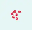 Pomegranate seed icon