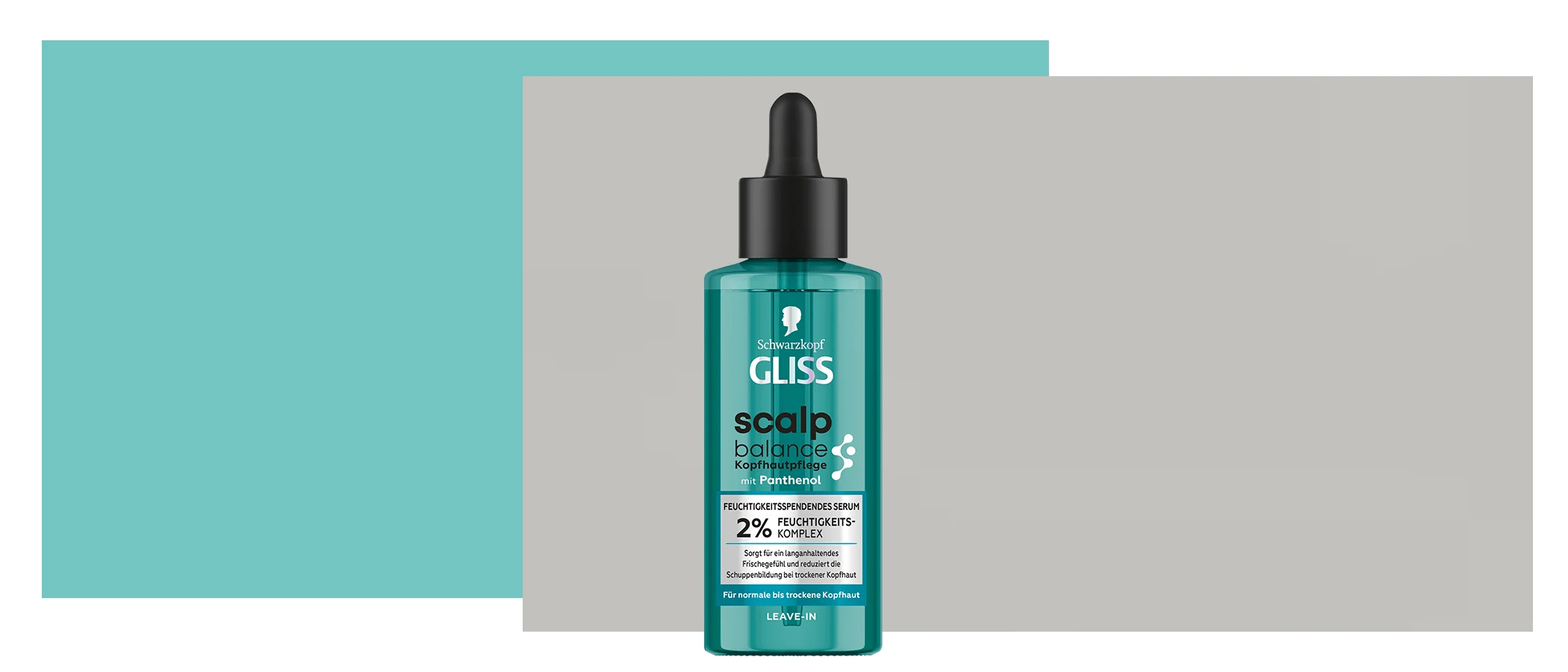 Henkel Gliss Scalp Moodbild