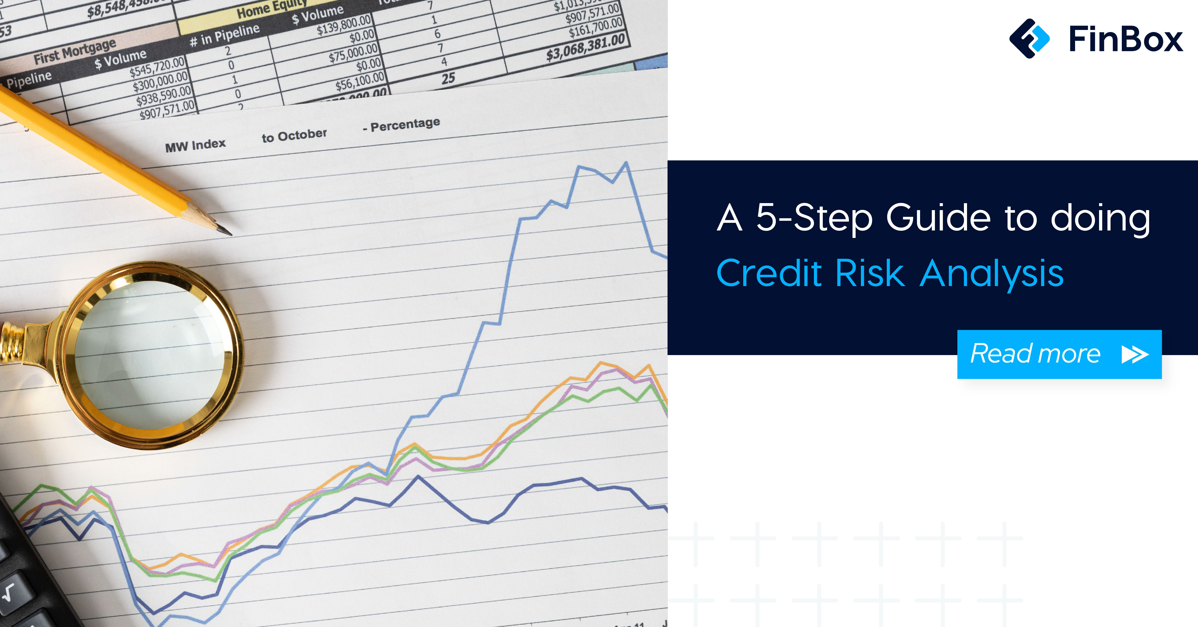 A 5-Step Guide To Doing Credit Risk Analysis