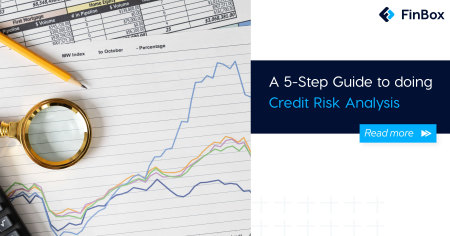 A 5-Step Guide to doing Credit Risk Analysis