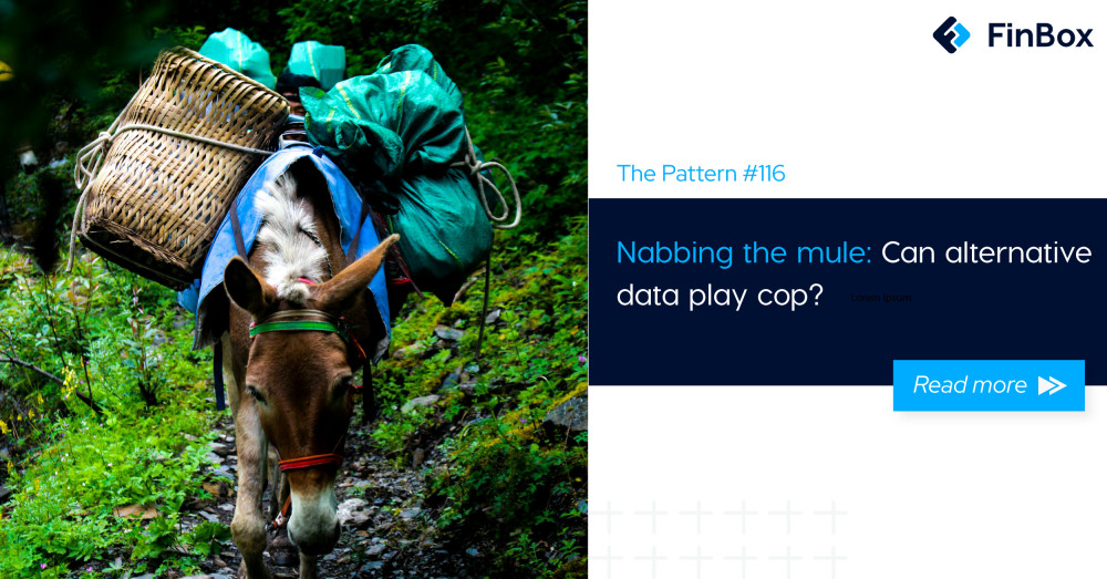 The Pattern #116: Nabbing the mule: Can alternative data play cop?